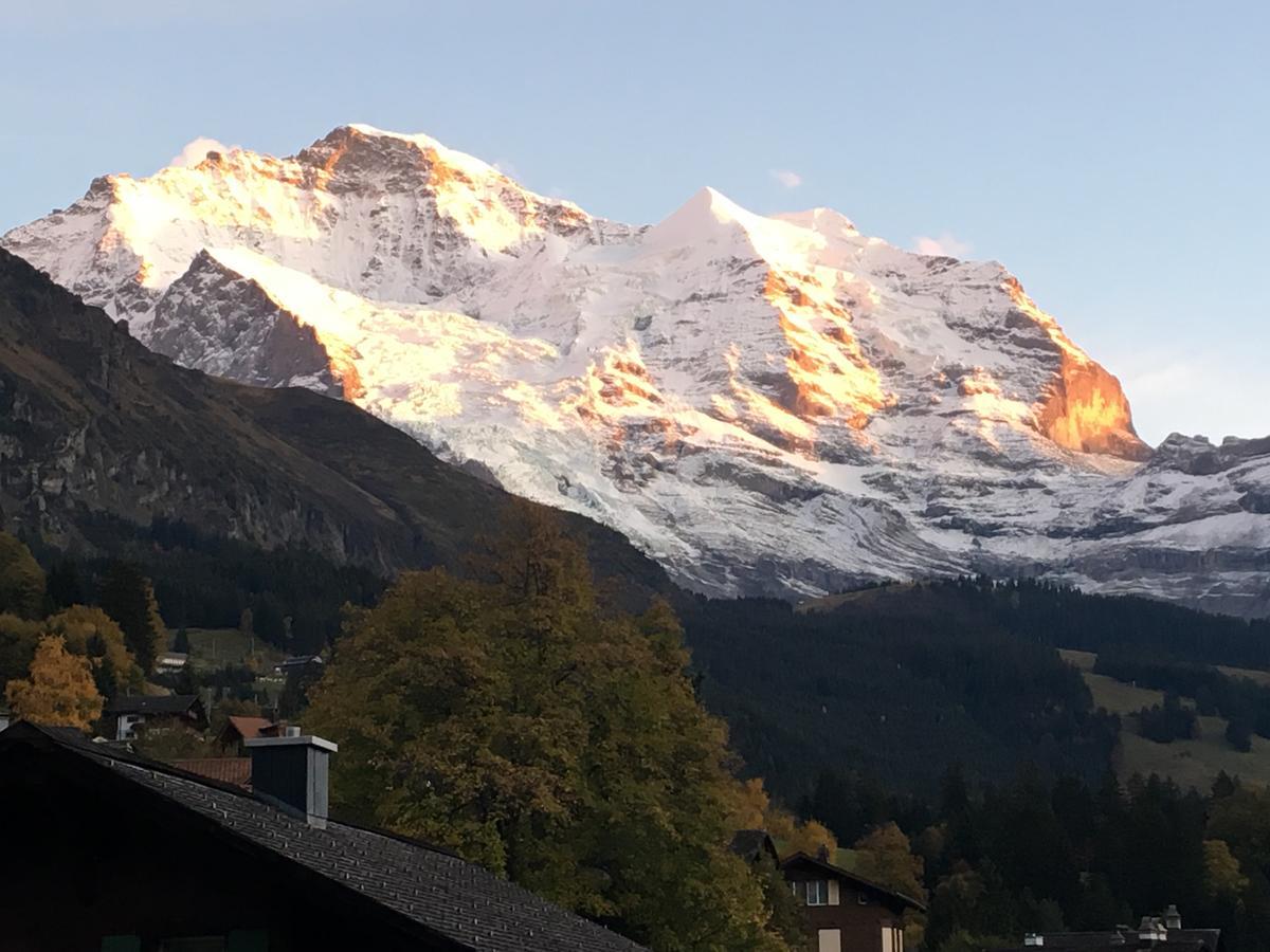 Pasta&More Bed&Breakfast Wengen Exteriör bild